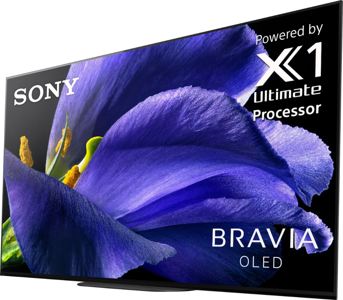 Sony MASTER A9G 65" Class HDR 4K UHD Smart OLED TV XBR65A9G