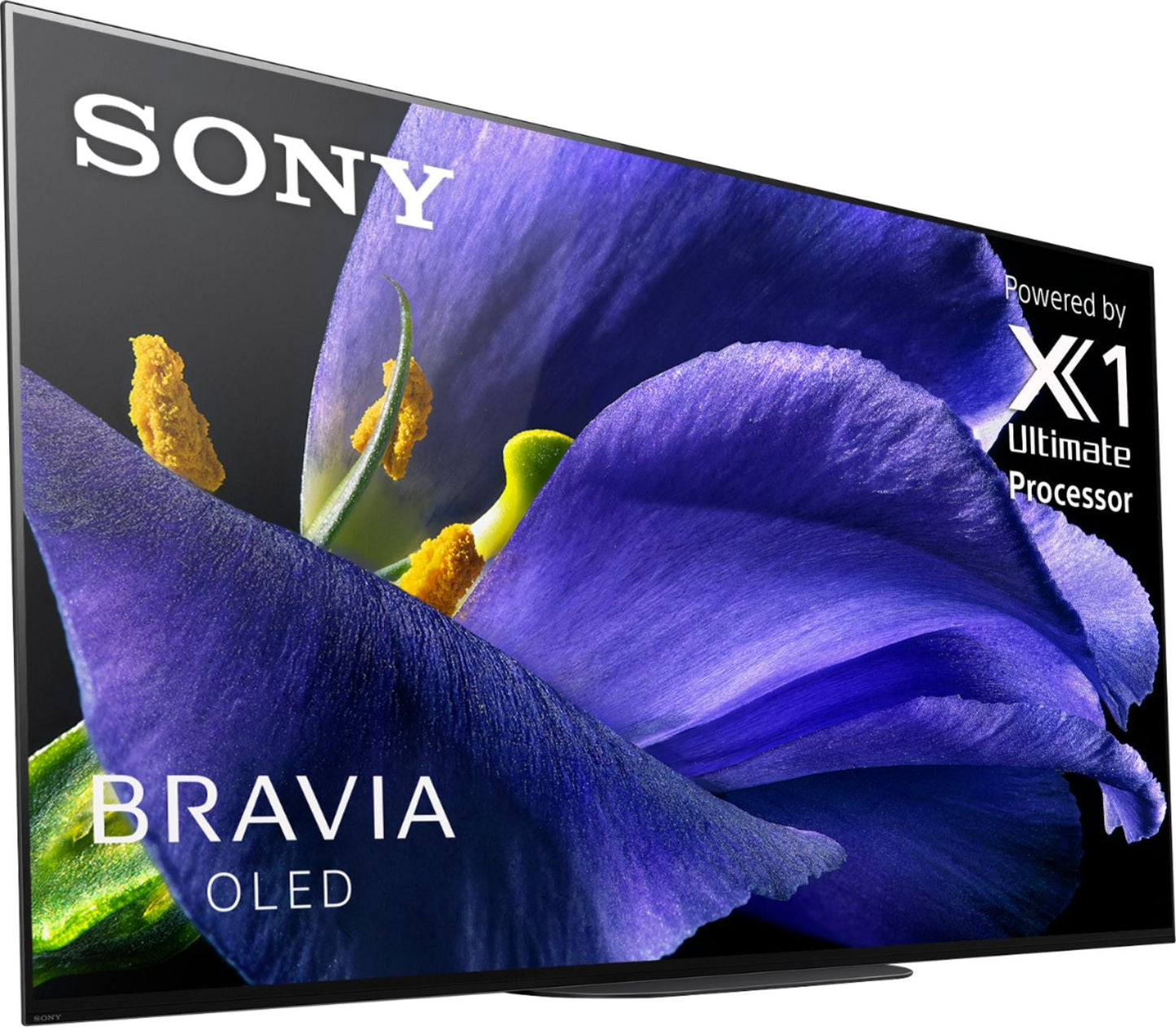 Sony MASTER A9G 65" Class HDR 4K UHD Smart OLED TV XBR65A9G