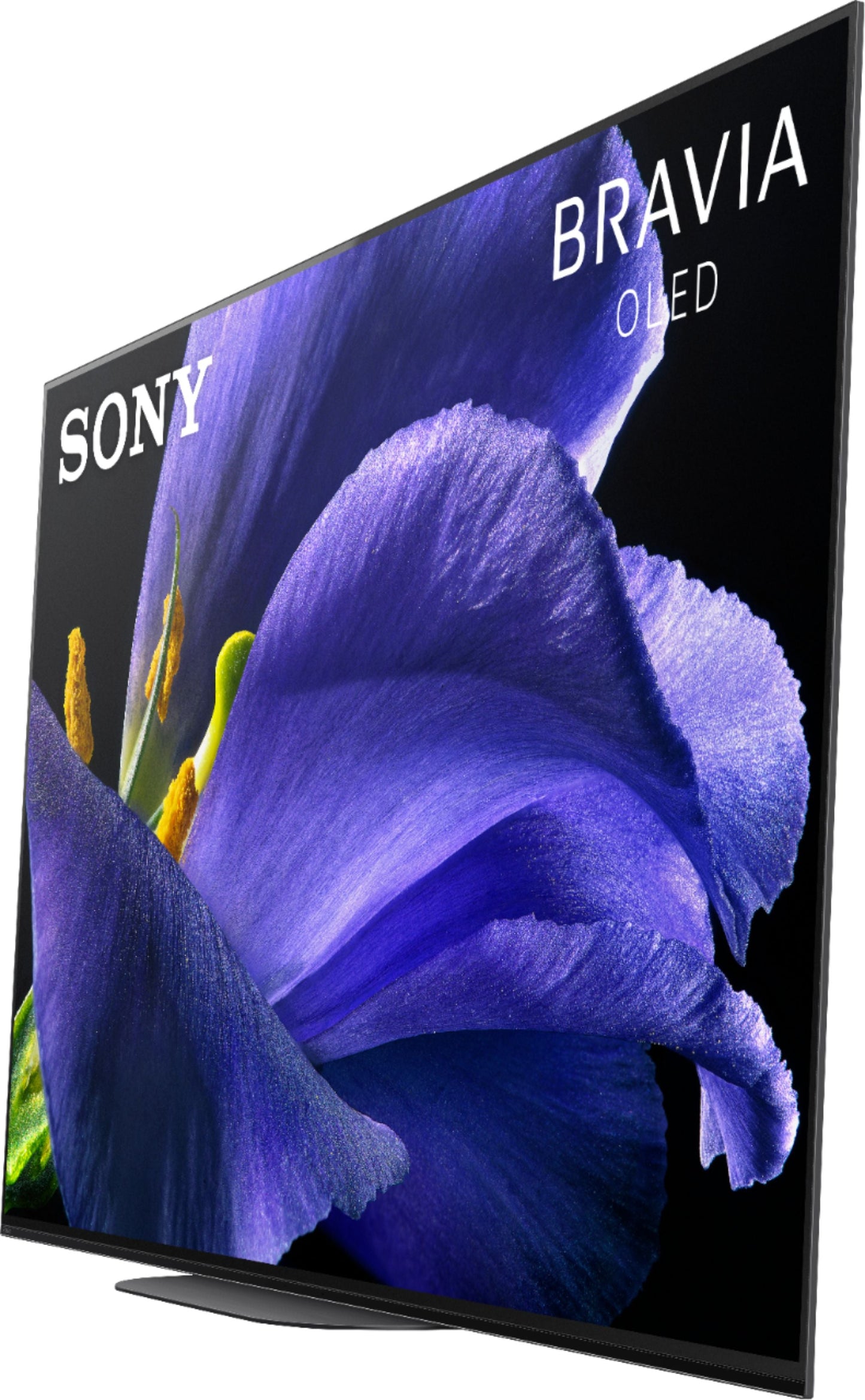 Sony MASTER A9G 65" Class HDR 4K UHD Smart OLED TV XBR65A9G